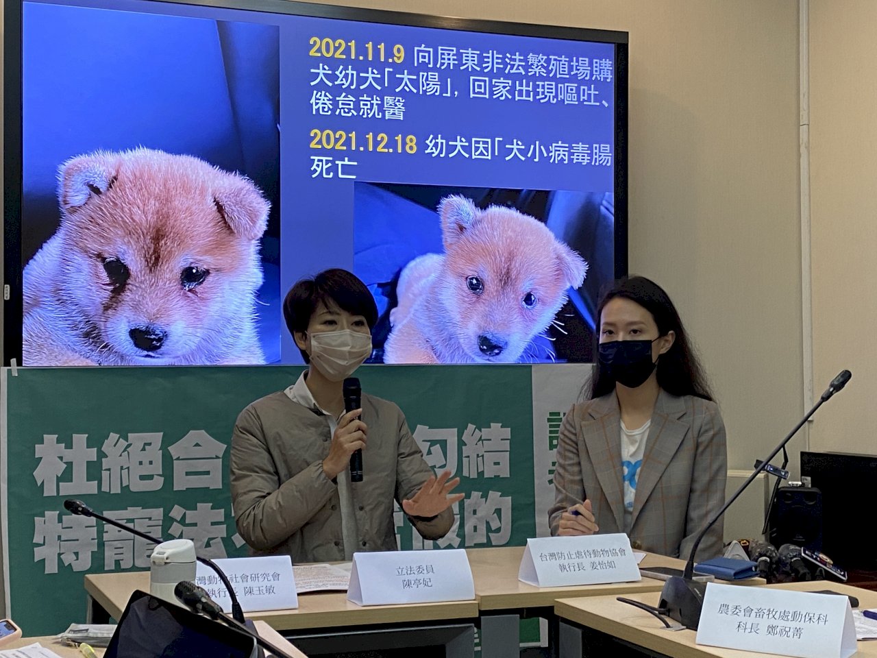 Acciones para la protección y el cuidado de los animales