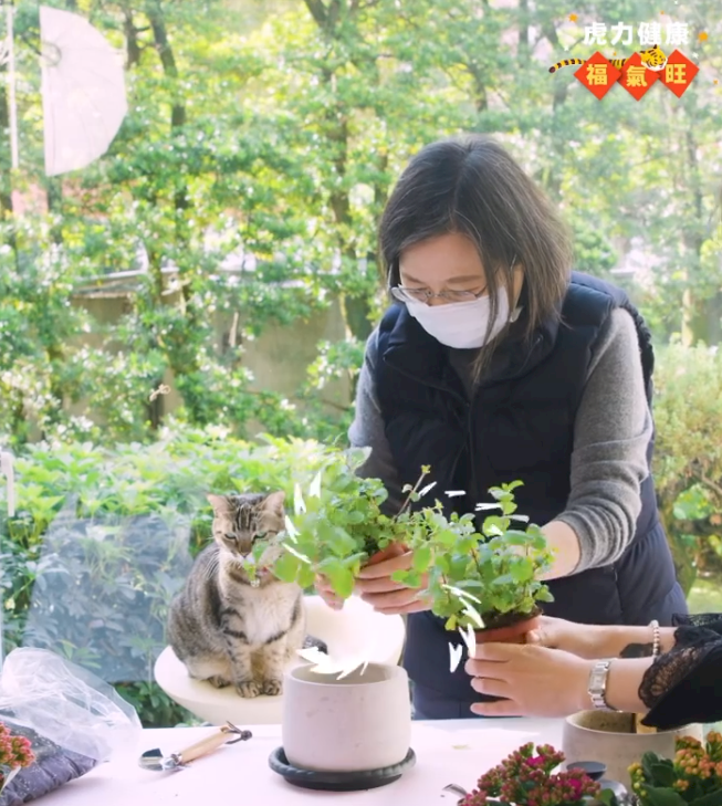 Tsai Ing-wen apoya la industria de las flores a través de Instagram