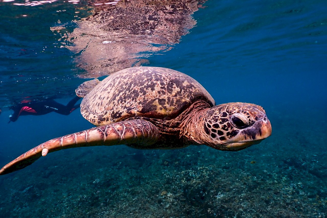 Explorando Las Islas de Taiwán