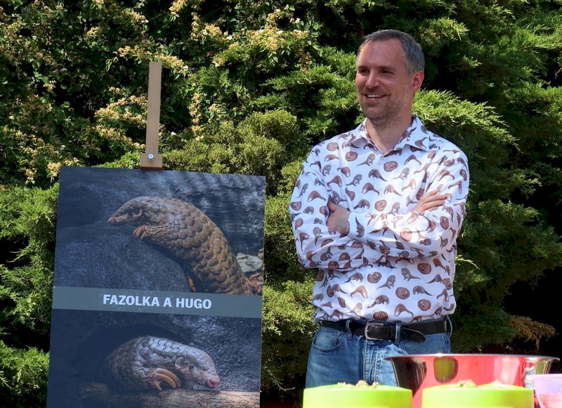 Pangolines taiwaneses se exhiben en el Zoo de Praga