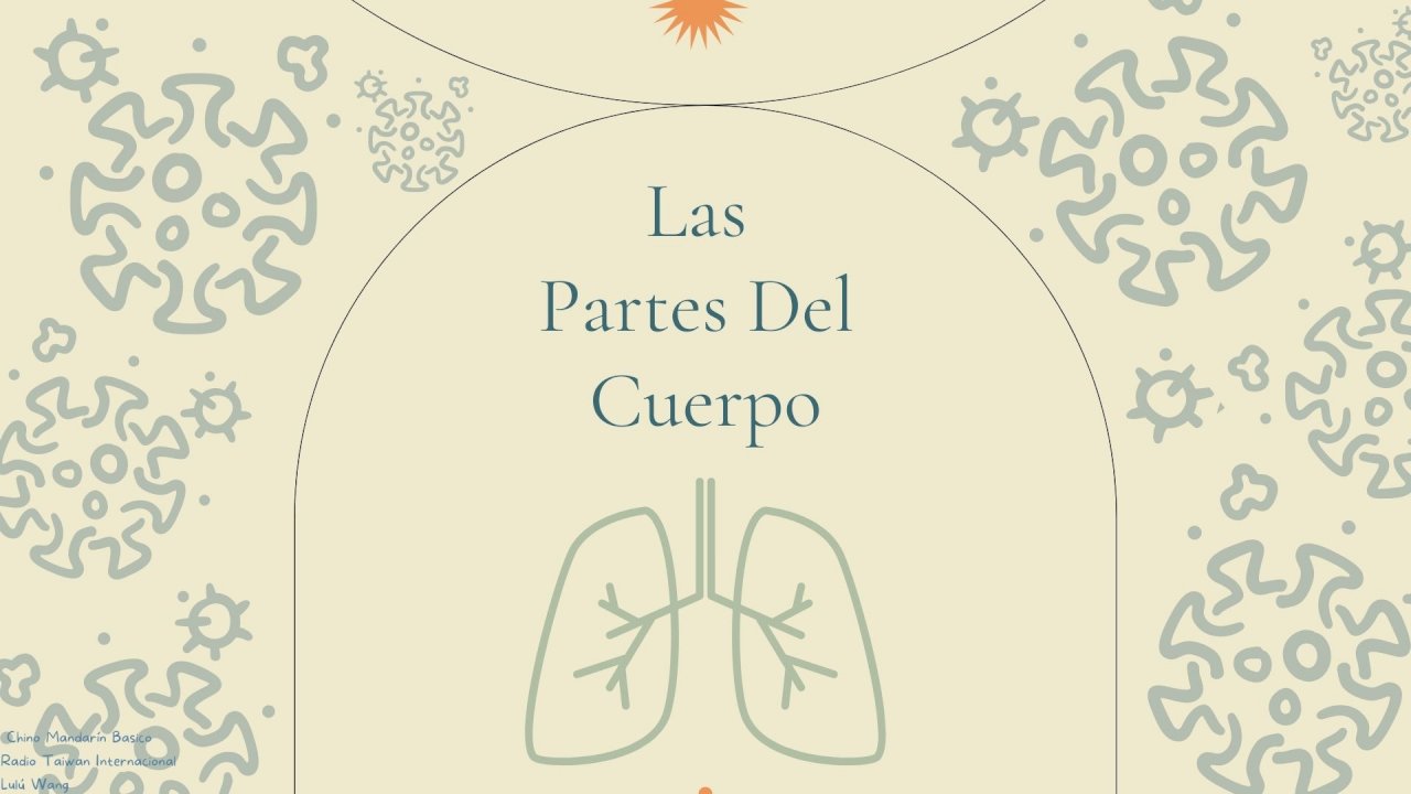 Las Partes del Cuerpo