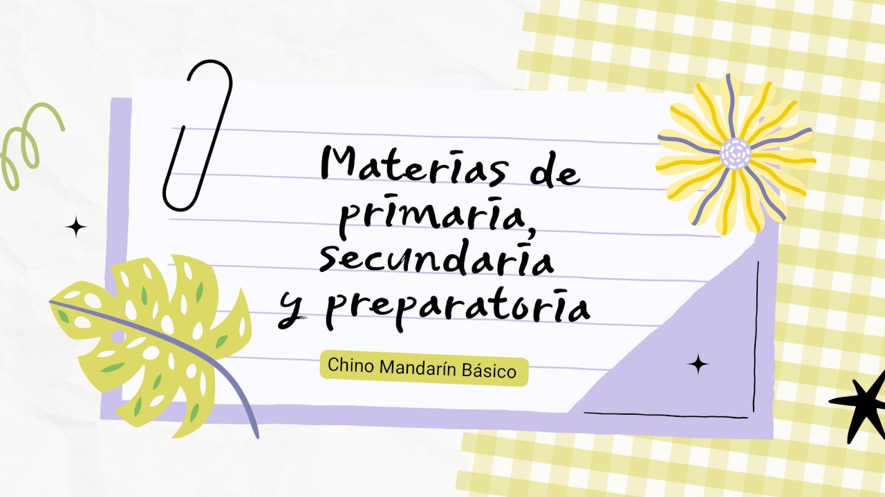 Materias de primaria, secundaria y preparatoria II