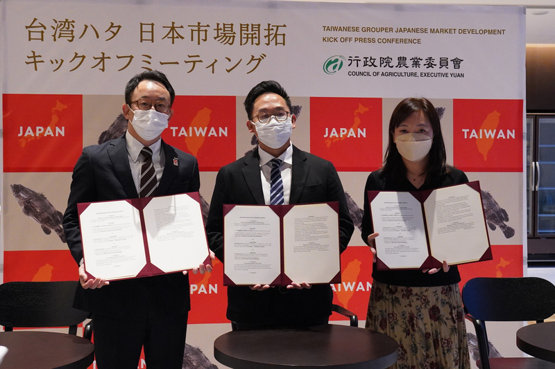 El mero taiwanés luchará por el mercado del sushi en Japón