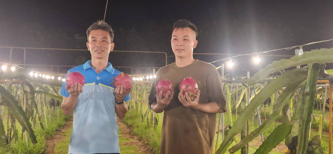 La Huerta Ecológica Jade del Arco Iris