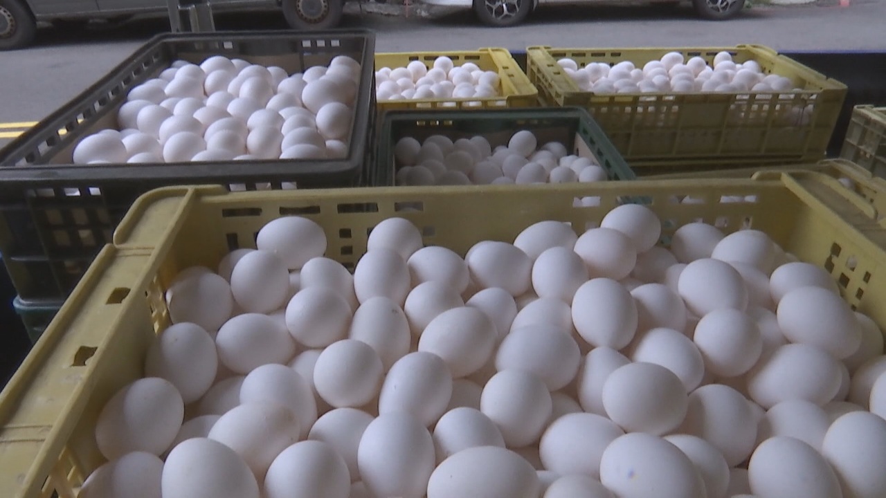 Criadores de huevos demandan precios más altos mientras prosigue la escasez