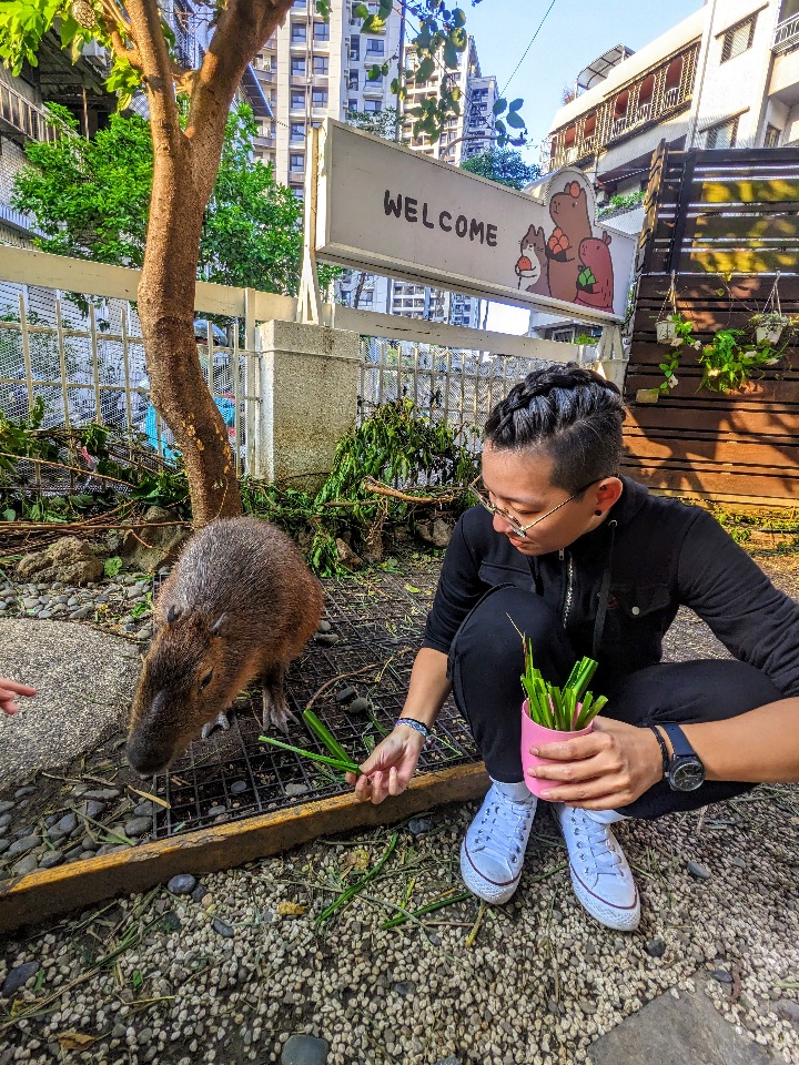 59. Cafés y Animales en Taiwán