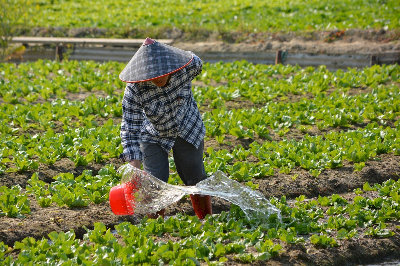 El Legislativo aprueba convertir al Consejo de Agricultura en ministerio