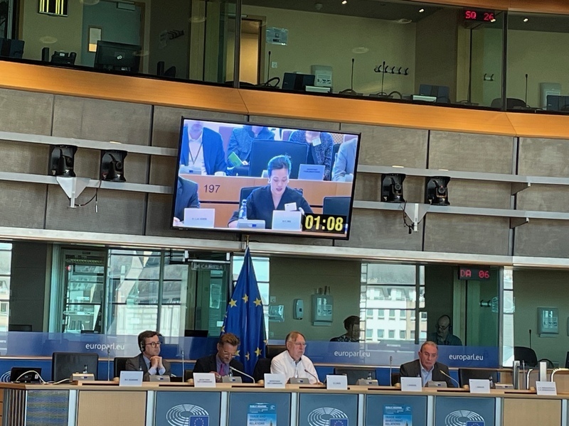 Cynthia Wu representa al legislativo taiwanés en el Parlamento Europeo defendiendo un acuerdo de inversiones