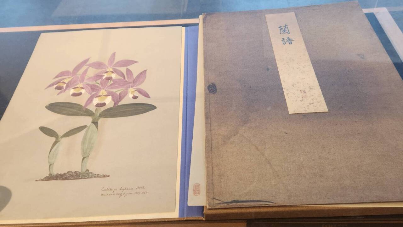 El «Registro de Orquídeas» se luce en Taichung
