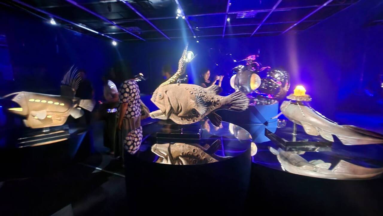 La exposición individual 