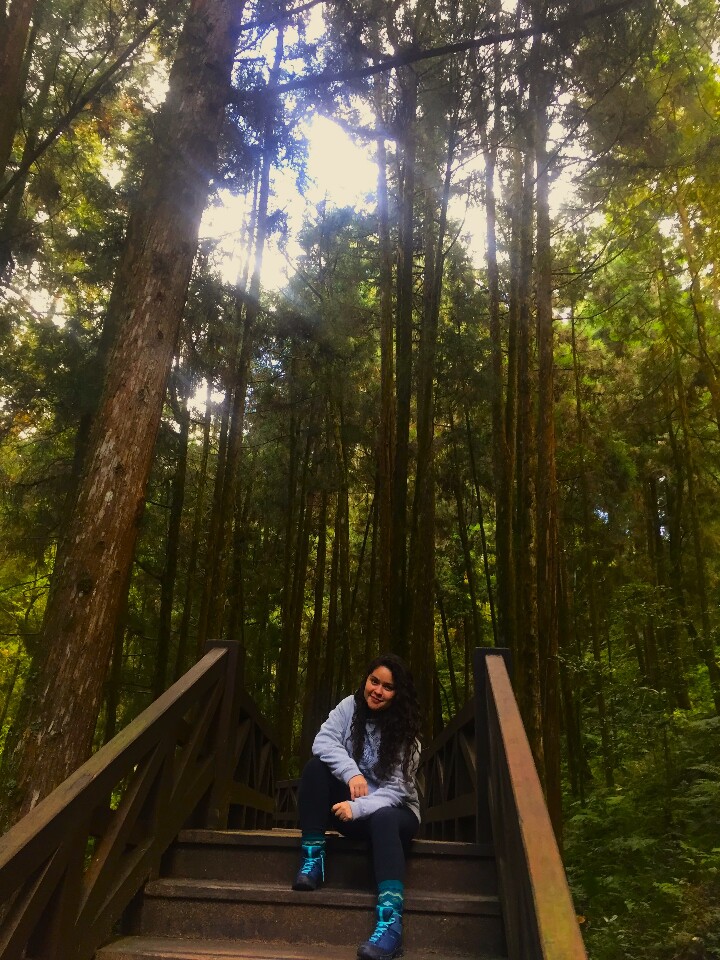 109. Área Recreativa del Bosque Nacional Alishan.