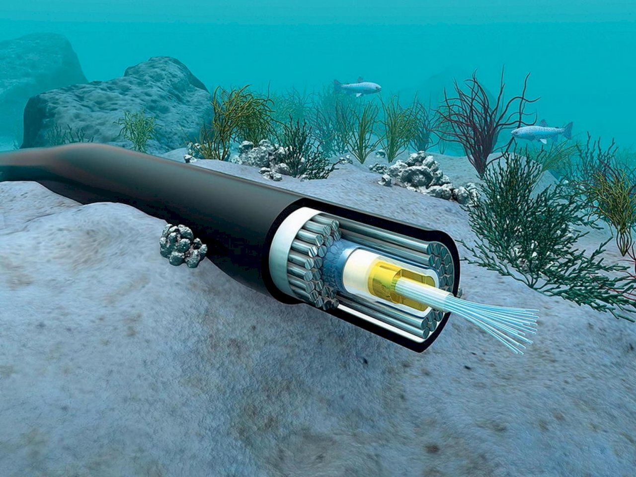 Taiwán participará en la extensión de cables submarinos de Internet para Tuvalu