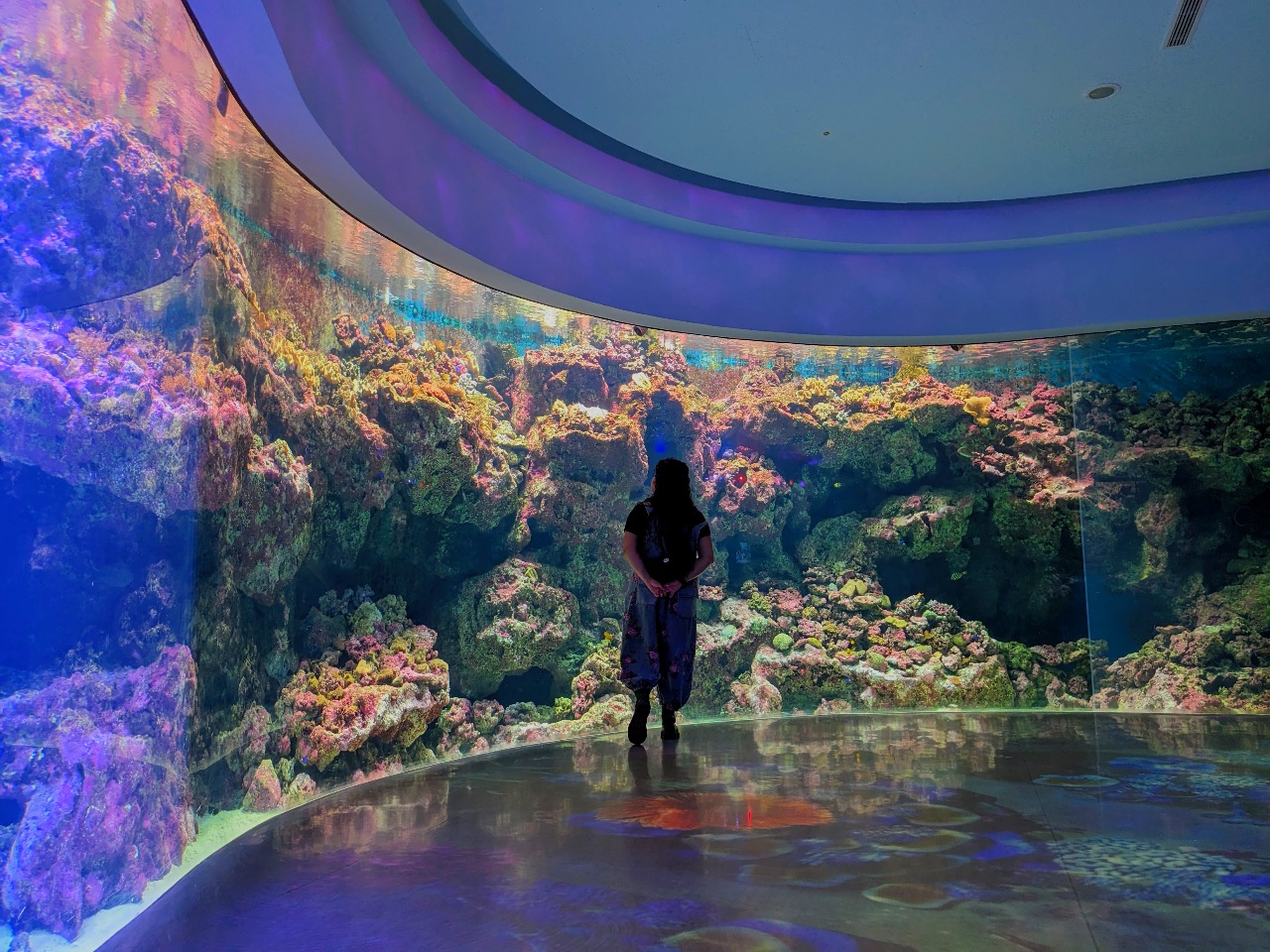134. Una Noche en el Acuario