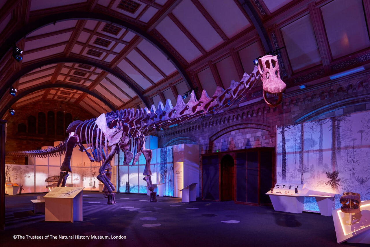 Dinosaurios y literatura en Taipéi