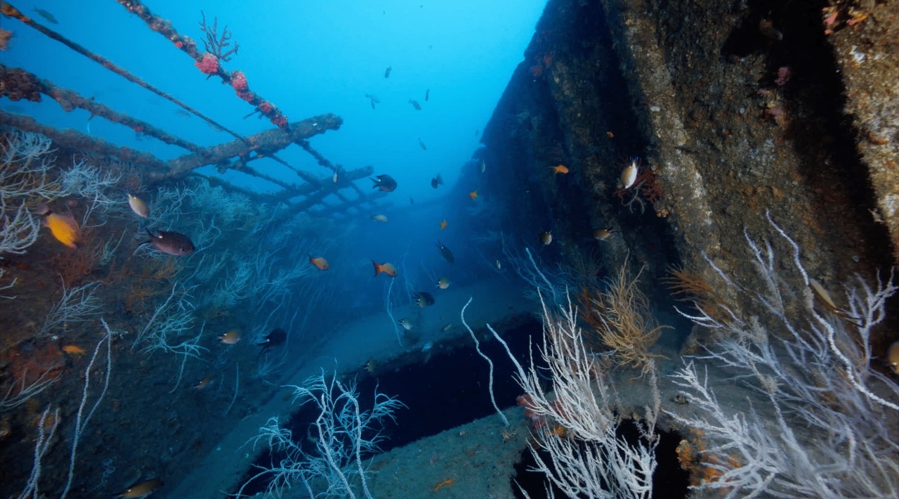 Gigantes dormidos bajo el mar – Un viaje al corazón del océano taiwanés