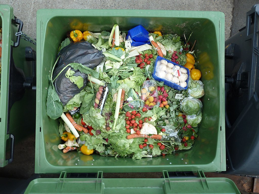 Reducir el desperdicio de alimentos es una prioridad para el medio ambiente