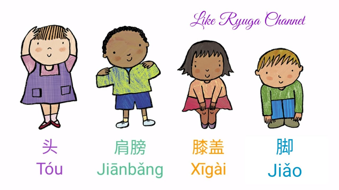 Tou Jianbang Xigai Jiao - 头肩膀膝盖脚 - Head Shoulders Knees and Toes - Kepala  Pundak Lutut Kaki Mandarin - YouTube